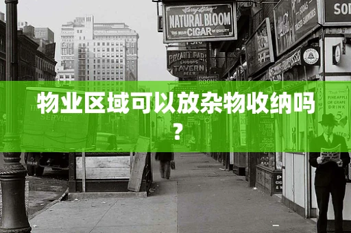 物业区域可以放杂物收纳吗？