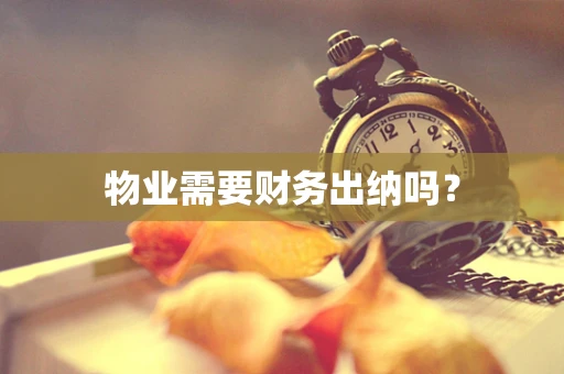 物业需要财务出纳吗？