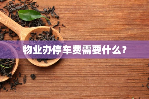 物业办停车费需要什么？