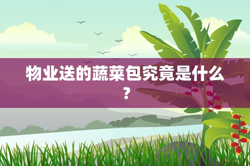 物业送的蔬菜包究竟是什么？