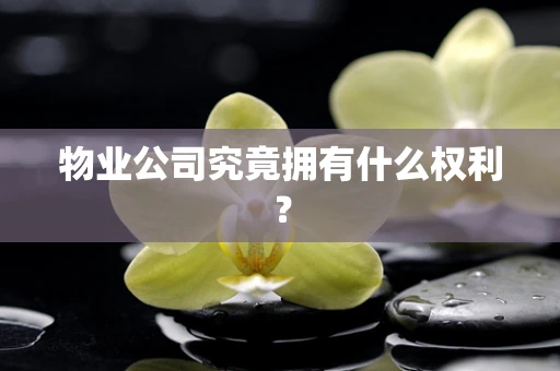 物业公司究竟拥有什么权利？