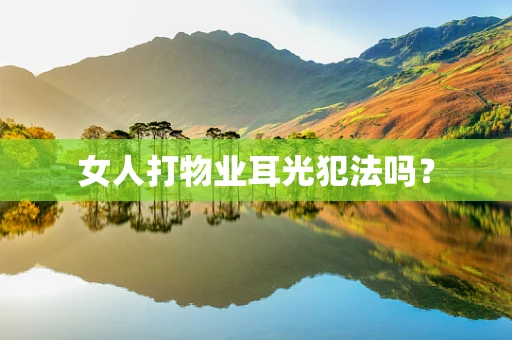女人打物业耳光犯法吗？