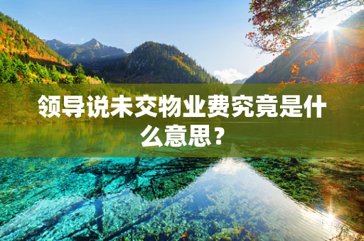 领导说未交物业费究竟是什么意思？