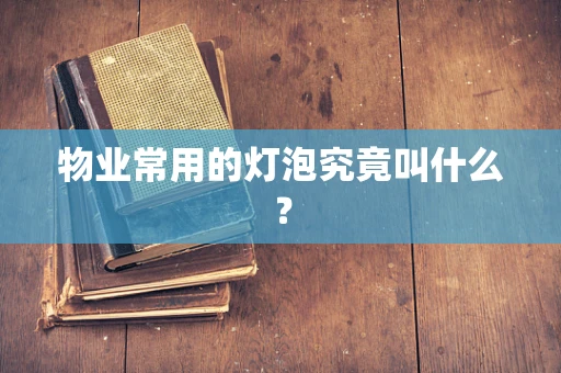 物业常用的灯泡究竟叫什么？