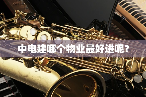 中电建哪个物业最好进呢？