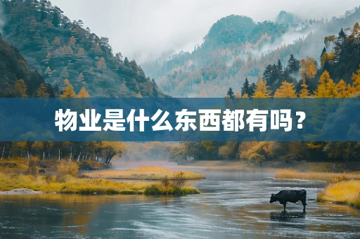 物业是什么东西都有吗？