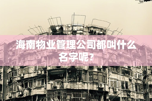 海南物业管理公司都叫什么名字呢？