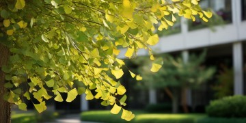 银杏物业人员管吃住吗？