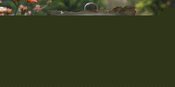 物业需要业主签合同吗？