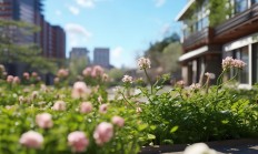 从事物业工作真的有发展吗？