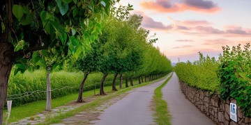 果园路16号是否有物业管理？