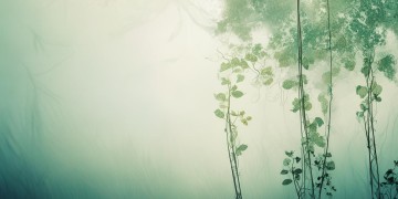 无物业贷款究竟是什么意思？