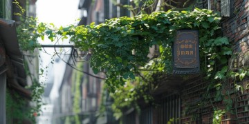 物业清欠到底是什么意思？