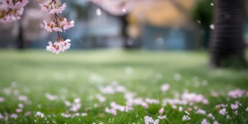 出境需要去物业登记吗？