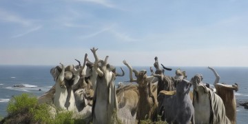 特级物业费合法吗？