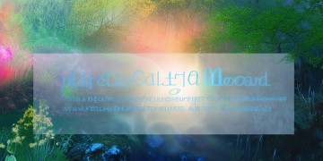 融侨物业的宗旨究竟是什么？