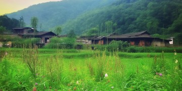 贵州物业取消了吗？