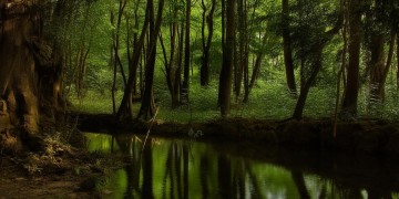 芜湖小区物业都会安装监控吗？
