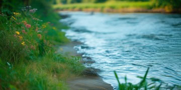 涟岸物业真的值得购买吗？