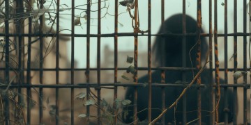 恒博物业为何不受待见？