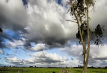 从事物业该考什么证件好？