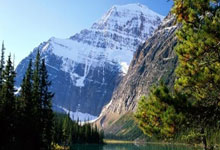 毅刚物业新小区究竟叫什么？