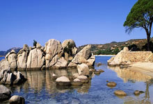 物业保安骂人警察会管吗？